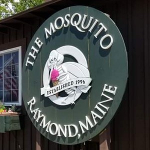 The Mosquito