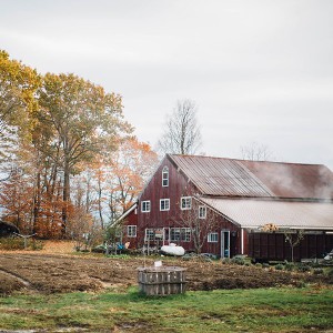 Nezinscot Farm Cafe & Gourmet Food Shop